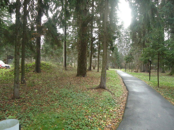 Ирина Пилипенко