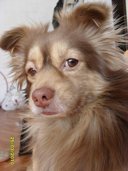 Роман Романович