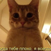 Толик Климарев