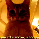 Толик Климарев