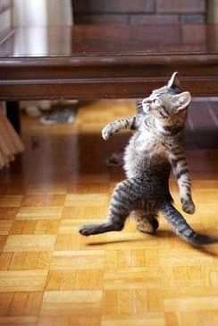 Александр Васьков