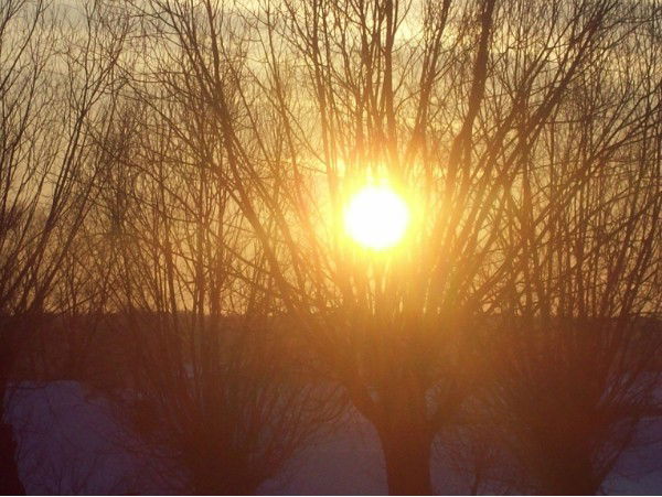 Эдуард Гараев