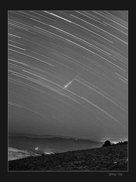 Ольчик Грибулина