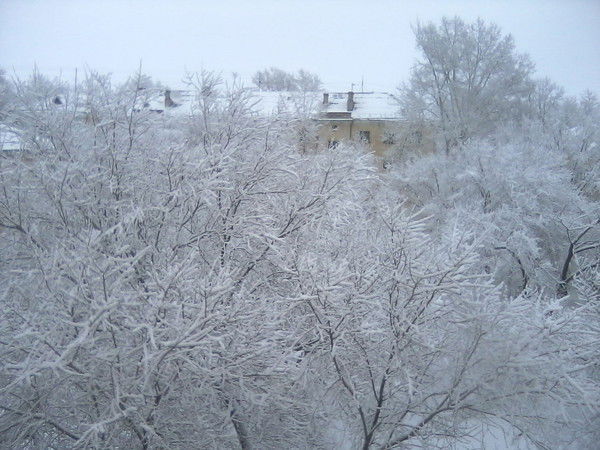 Наталья Султанова