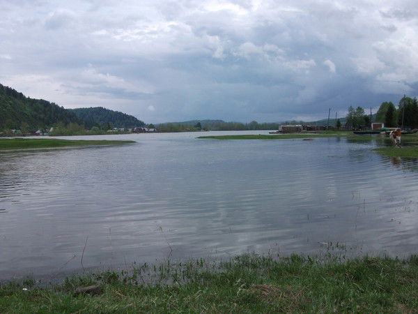 Владимир Заеленчиц