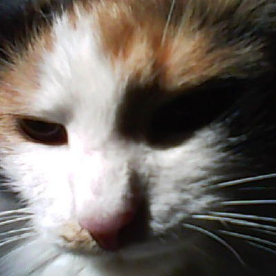 Алёна Макарова