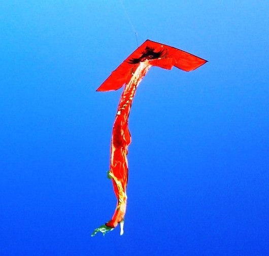 Рычков Александр