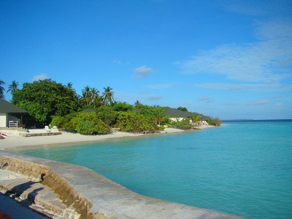 Ирина Алексеева