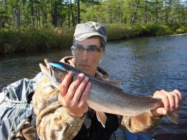 Георгий Стрелков