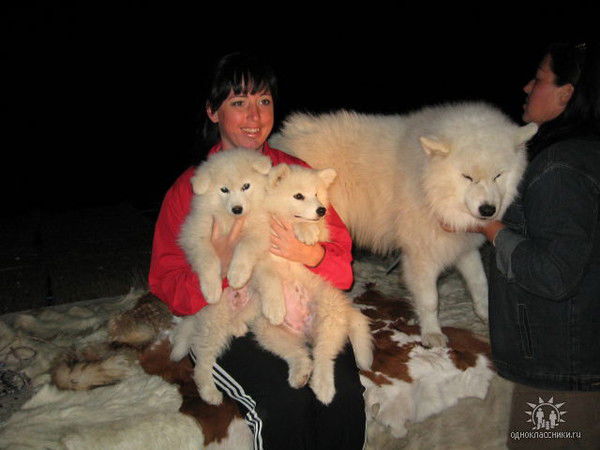 Евгения Башкат