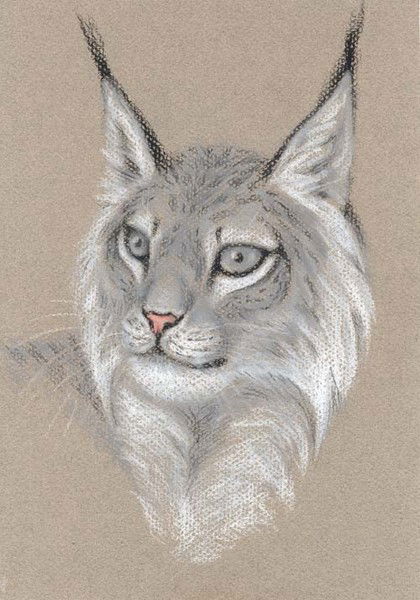 Валентина Осина