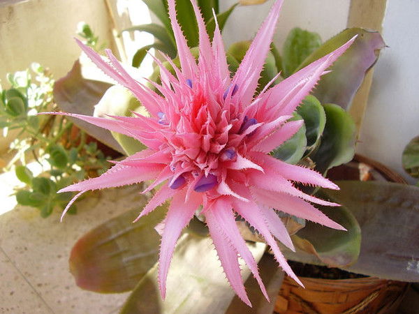 Наталья Жукова