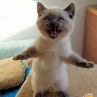 Зинаида Ситникова