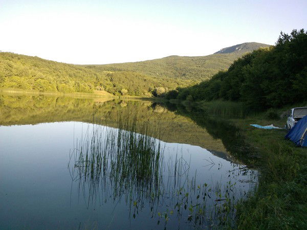 Анатолий Газдиев