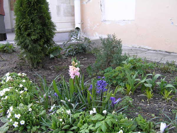 Наталья Кокарева