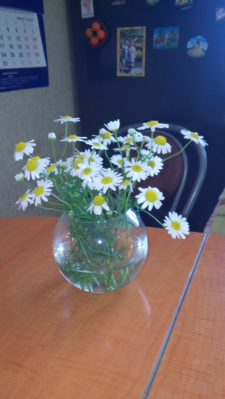 Ирина Кудряшова