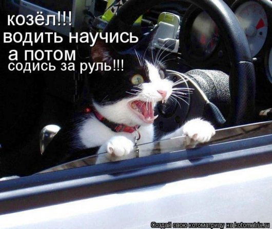 Алексей Лямкин