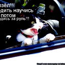 Алексей Лямкин