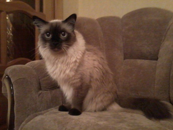 Светлана Кузьмина