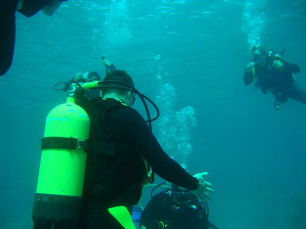 Виталий Войцеховский