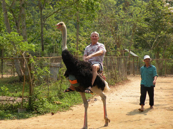 Николай Сергеев