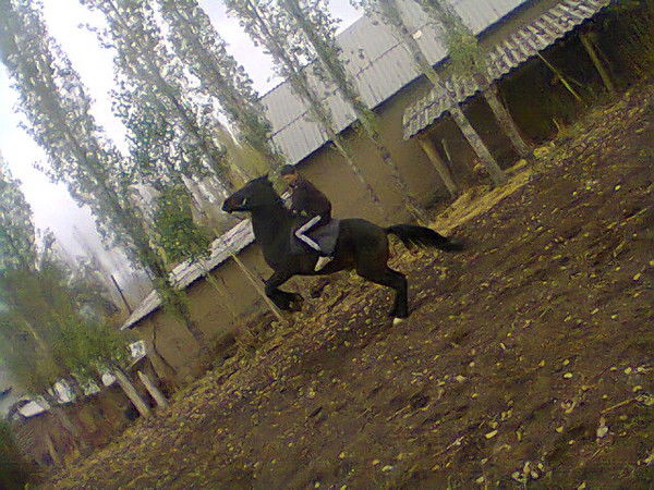 Мээримбек Бегетов