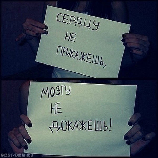 Дильшат Касимов