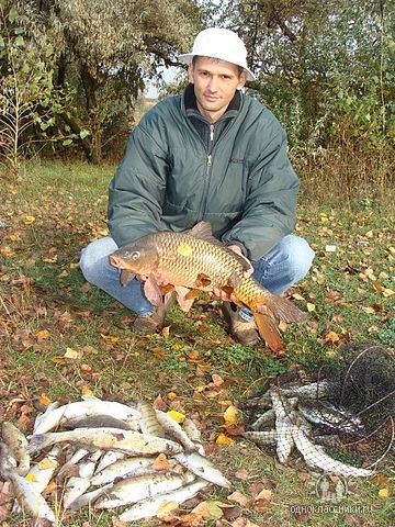 Андрей Жаврид