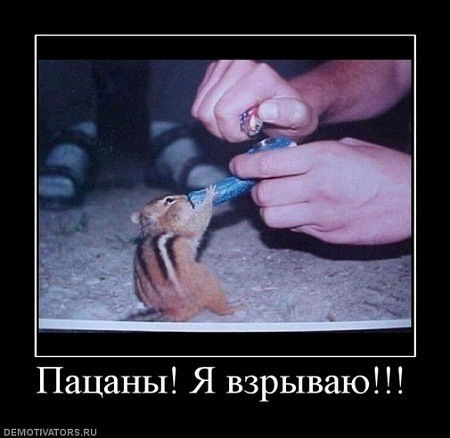 Серый Федченко