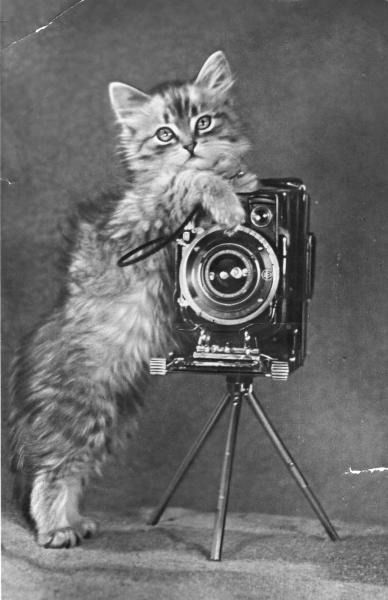 Лариса Базикова