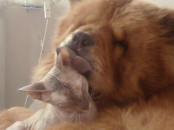 Татьяна Тельминова