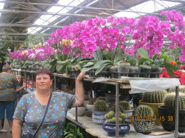 Елена Носкова