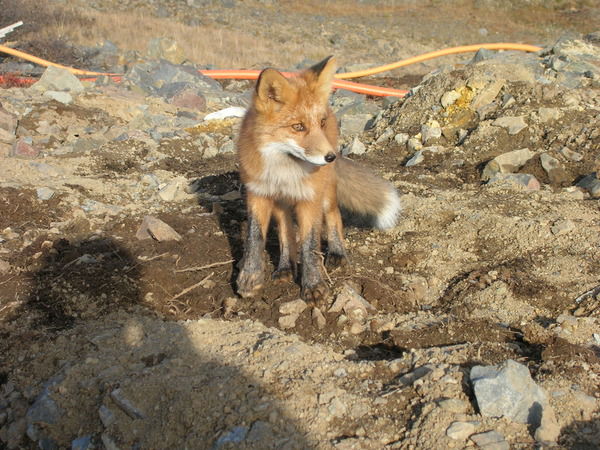 Анатолий Заикин