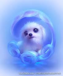 ***** ***** ***** *****