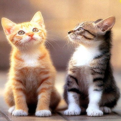 Лейла Ихсанова(Давлиева)