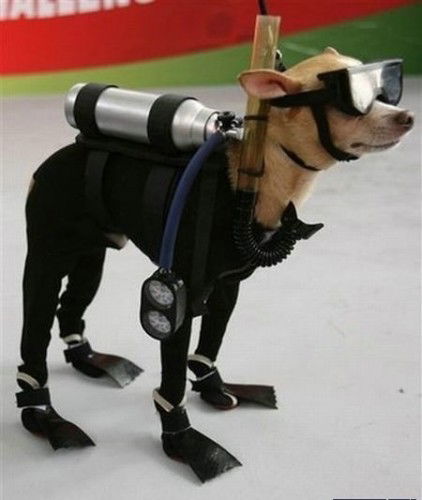 Сергей Гусинский