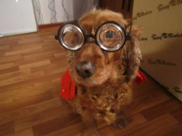 Валерий Кострюлин