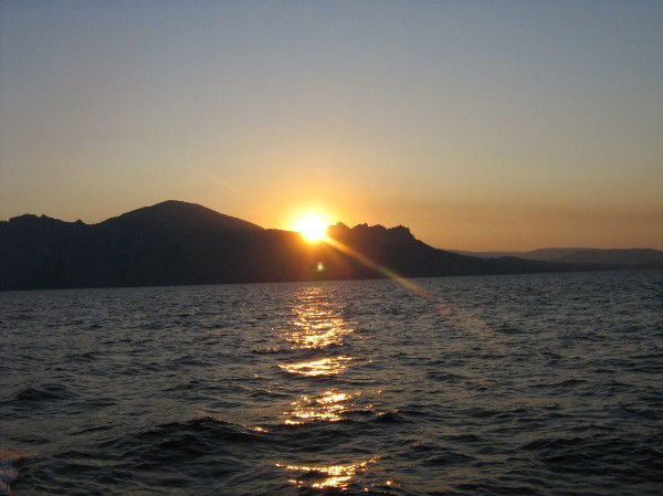 Оксана Авдеева