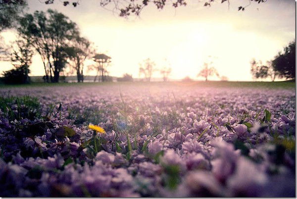 Анастасия Жевнерова