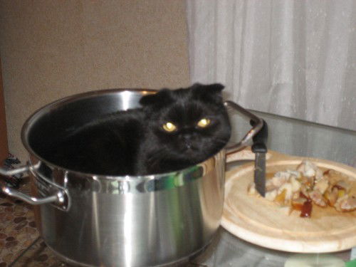 Константин Скудин