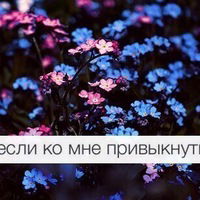 Ксения Литюк