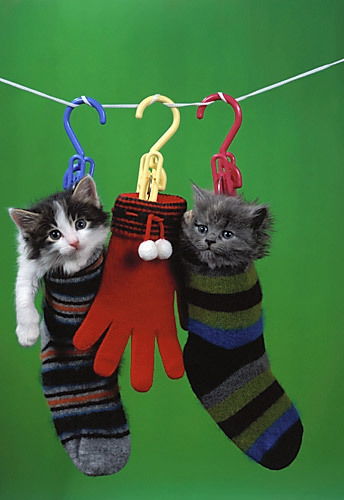 Ольга Киселева