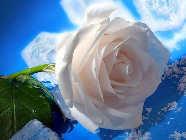 Бухгалтерия Учреждение Ак-159/20