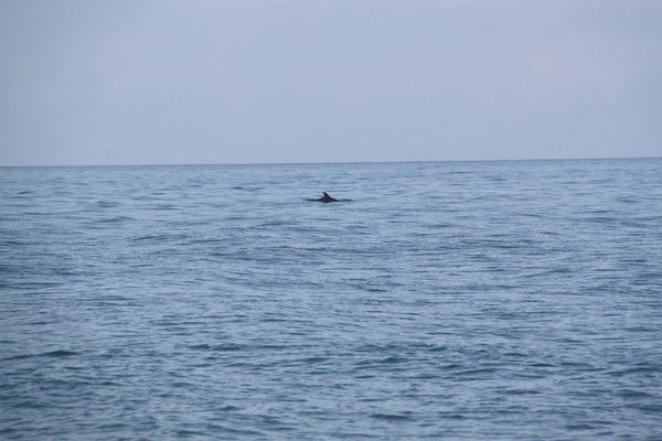 Евгений Плешков