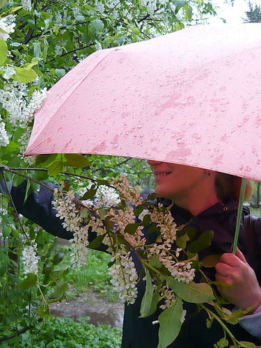 Ирина Булычева