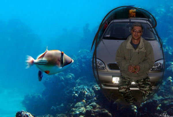 Барсук Кротов