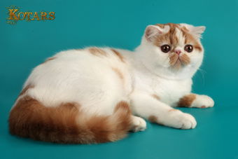 Татьяна Арсентьевна