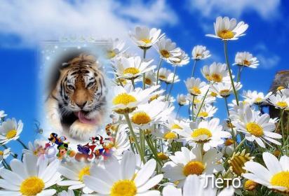 Светлана F*****