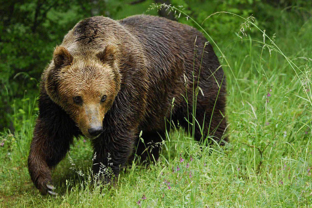 Ильяс Насыров