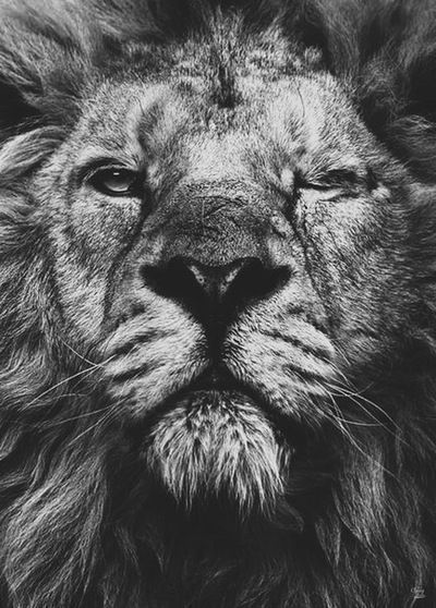 Роман Худяков